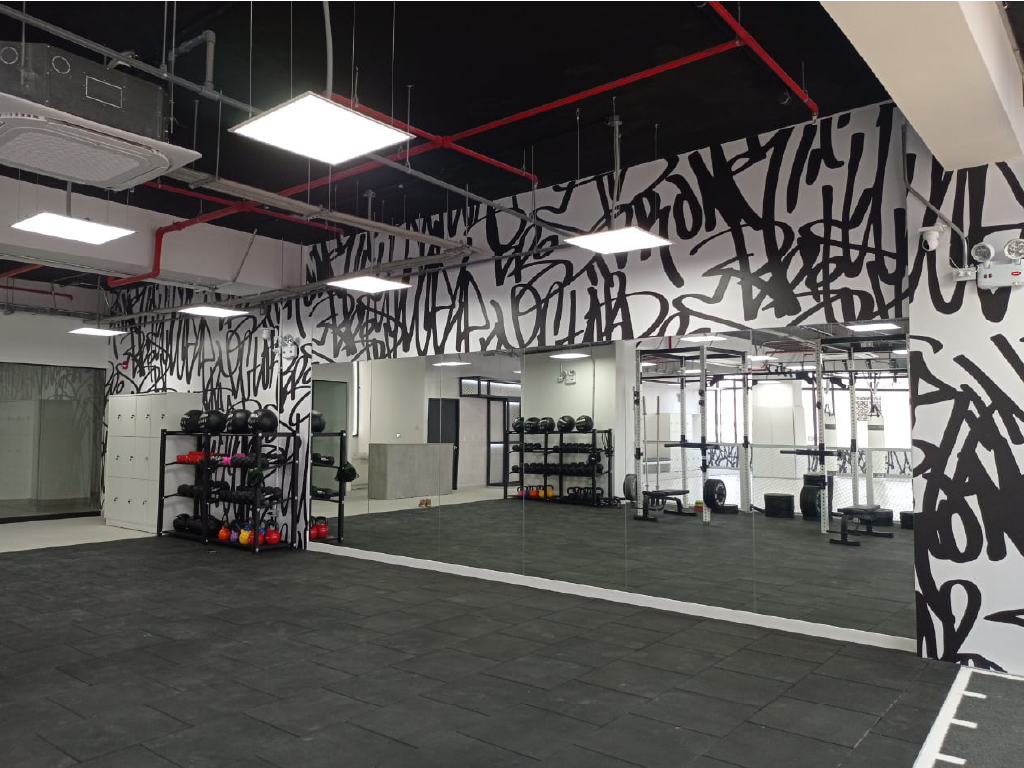 LAR Facility - Implementación Fight Lab 003